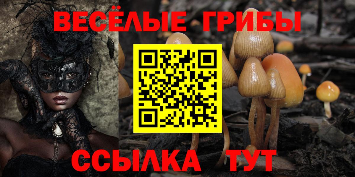 цены наркотик  Вход с VPN  Балаково  Галлюциногенные грибы ЛСД 