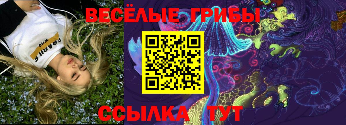 Галлюциногенные грибы прущие грибы Балаково